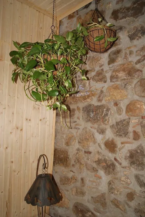 Apartament Codina 40 Apartment Torroella De Montgri