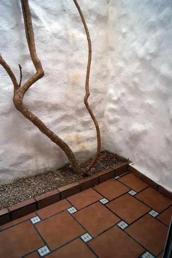 Apartament Codina 40 Apartment Torroella De Montgri